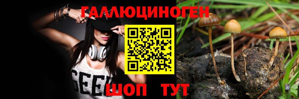 Оренбург  Галлюциногенные грибы мицелий  Галлюциногенные грибы мицелий  Вход с VPN 