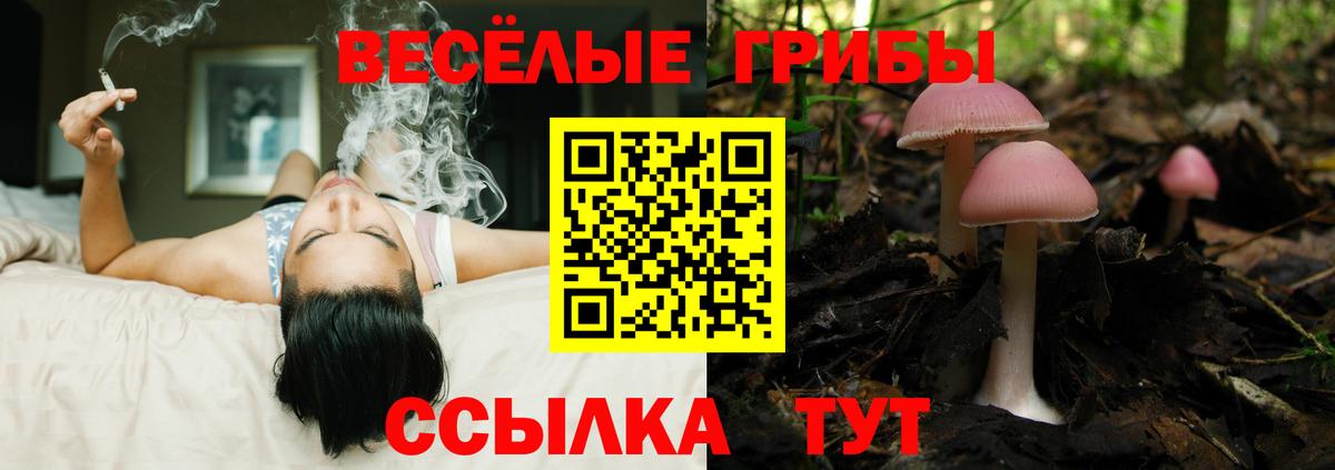 Галлюциногенные грибы GOLDEN TEACHER Оренбург